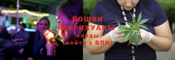 PSILOCYBIN Абаза