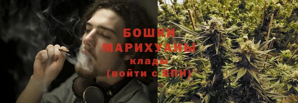 PSILOCYBIN Абаза