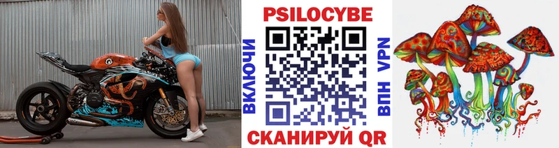 Псилоцибиновые грибы GOLDEN TEACHER  Новоалтайск 