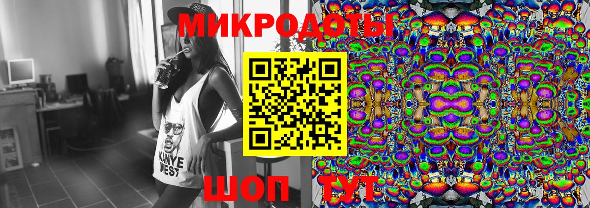 Галлюциногенные грибы Psilocybe Новоалтайск